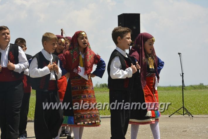 alexandriamou.gr_trikala28.5.2018144